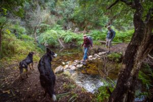 Crossing Kleinrivier on rocks The Trailblazing Tribe