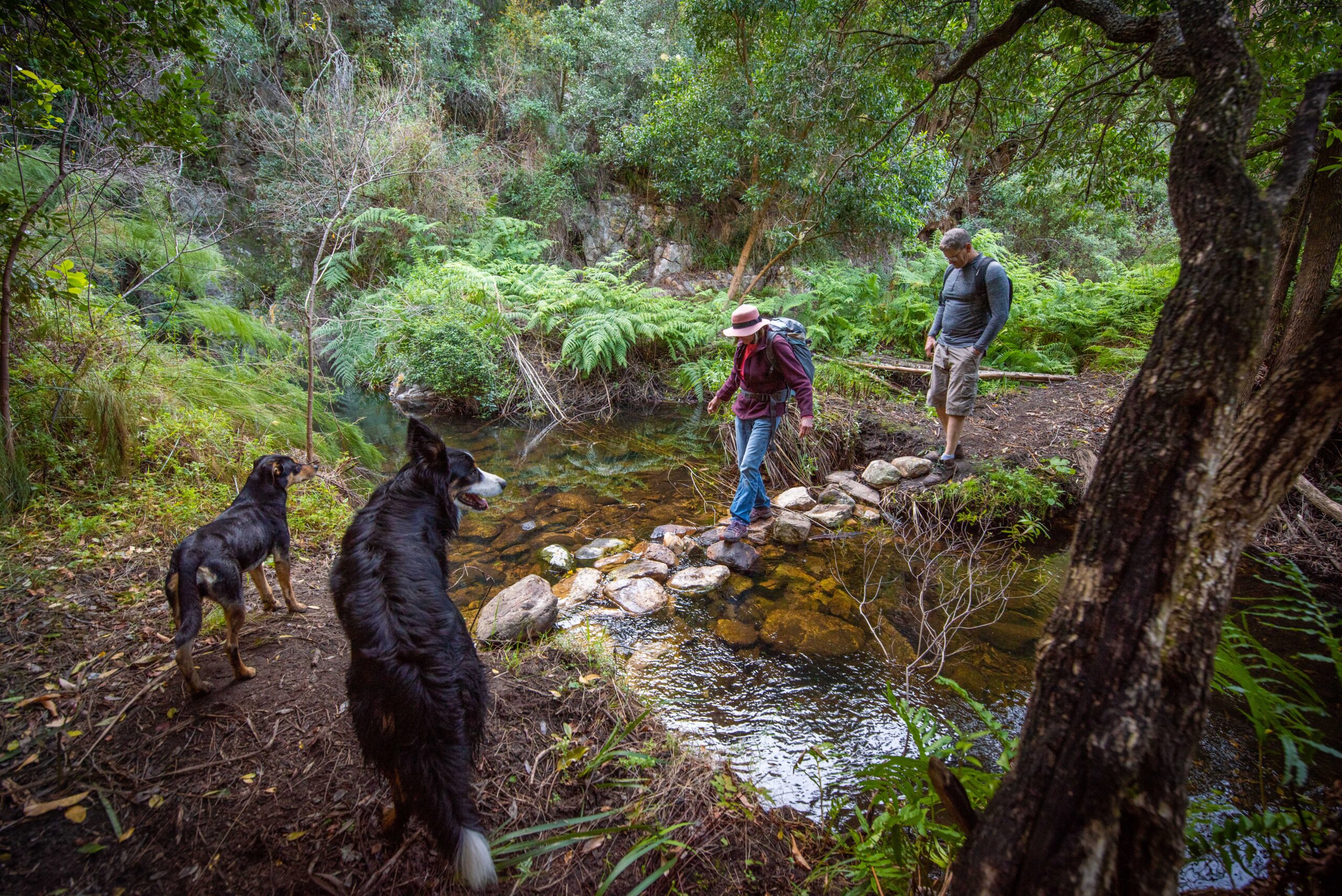 The Trailblazing Tribe