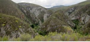 Two Valleys Meet Kouga Wilderness a Botanical Appreciation